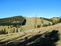 041 - Wiltschnigg Lift von der anderen Seite