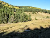 042 - am Schlingenbach