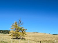 043 - zurueck auf der Breitalm