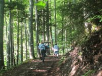 013 - am naechsten Tag, Aufstieg zum Mittagstein (Raukogel)