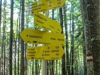 016 - es geht in alle Richtungen