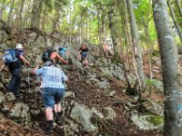 020 - im Buchenwald gibt es Kletterstellen