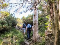 022 - im steilen Anstieg