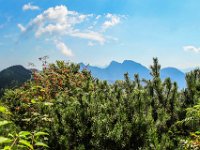 030 - Blick zu den Kremsmauern