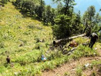 031 - der steile Abstieg beginnt