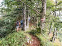 032 - kleine Kammwanderung