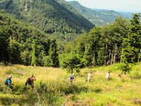 036 - weider geht der Abstieg