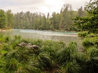 051 - am kleinen Oedsee erwischte uns der Regen