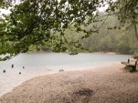 053 - totzdem einige Bilder