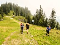 059 - auf der Kasberg Schipiste hinauf zur