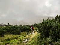 065 - durch Nebel und Latschen