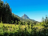 081 - Naechster Tag. Aufstieg zum Steineck, im Blick Traunstein