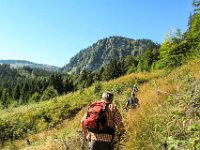 083 - auch hier geht es steil nach oben