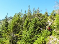 087 - Aufstieg Steineck