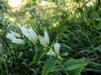 090 - wircklich schoen