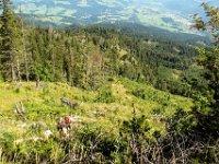 103 - nach langer Gipfelrast zurueck ins Tal