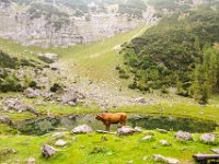 114 - Brunnsteinersee