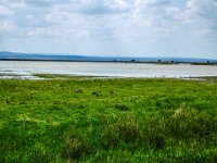 016-im Nationalpark sin jede Menge Graugaense