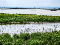 022-was sehen wir hier