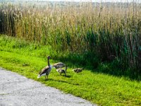 061-stolz auf ihren Nachwuchs