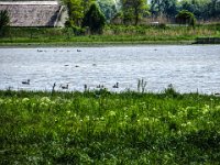 068-weiter am Wasser entlang