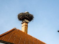 080-bevor es nach Hause geht muss noch ein Storch fotografiert werden