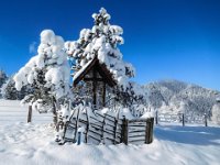 002 - Abmarsch auf der Broadalm