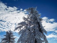 003 - der Sonne entgegen