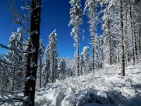 011 - erster Blick zum Gipfel