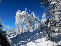 013 - ist so ein Winter nicht schoen