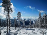 014 - Blick zur Tyrnaueralm und links zwischen den Baeumen der Schoeckel
