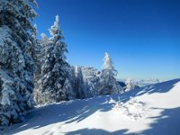 020 - der Gipfel kommt naeher