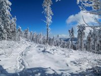 021 - Blick zurueck zu Plankogel und Osser