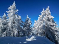 022 - am Grat, einfach schoen