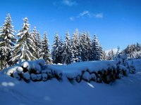 027 - am Zachn Sattel