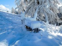 028 - die Schneehoehe