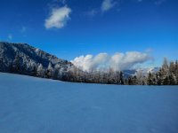 031 - dann bin ich wieder auf der Broadalm