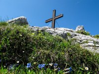 047 -  Hochlantschkreuz mit Kochscher Enzian (Gentiana acaulis)