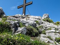 048 -  Hochlantschkreuz mit Kochscher Enzian (Gentiana acaulis)