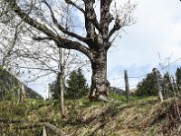 012 - Aufstieg zum Annakaffee