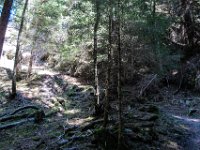 029 - Aufstieg zur Rastoetzenalm