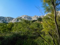 004 wir machen eine Wanderung zu den Bergen