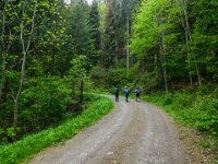 009 ueber die Forstsrasse