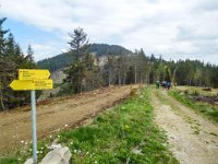 039 Richtung Goessgraben