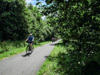 009 auf der alten Bahnstrecke