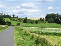 015 die bereits wunderschoen bluehen