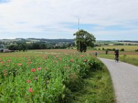 045 und Mohn