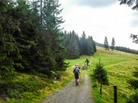 002 Richtung Rappoldkogel