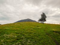 003 Gipfel bereits in Sicht