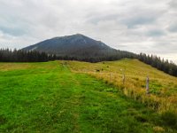 005 und zum Rappoldkogel